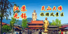 亚洲插入肛门免费爽视频江苏无锡灵山大佛旅游风景区